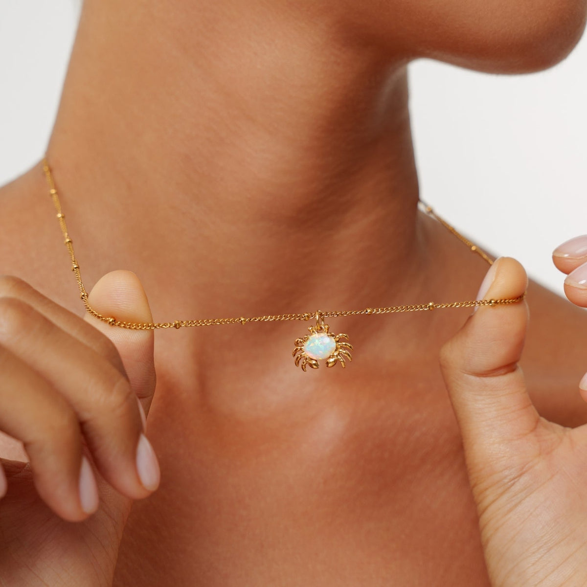 Krab Ketting