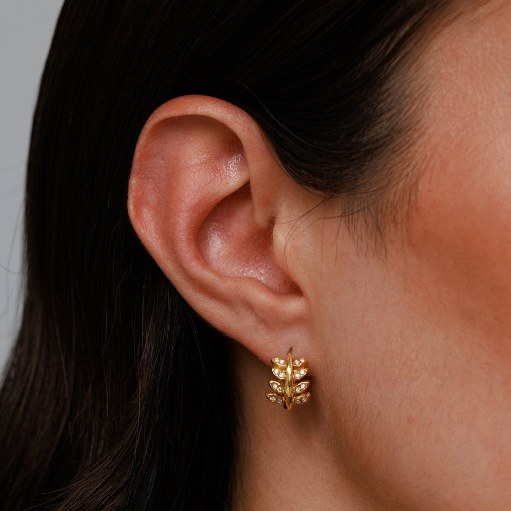 Laurel Hoops