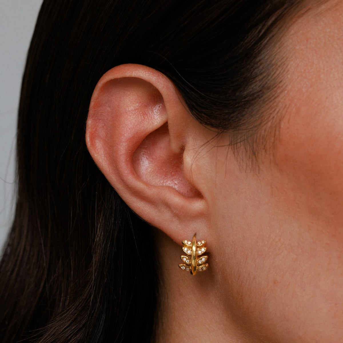 Laurel Hoops