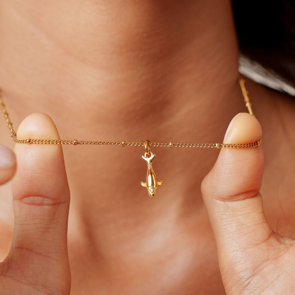 Walvis Ketting