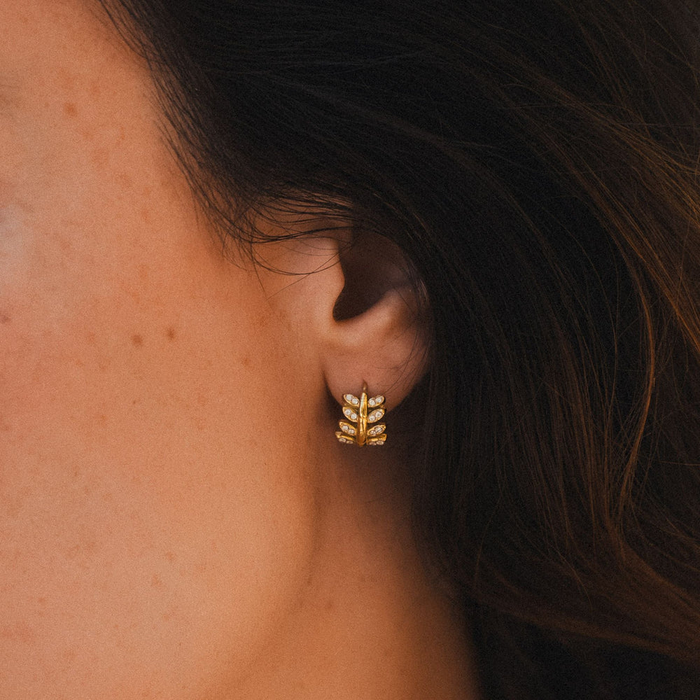 Laurel Hoops