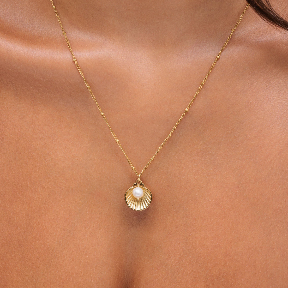 Seashell Ketting