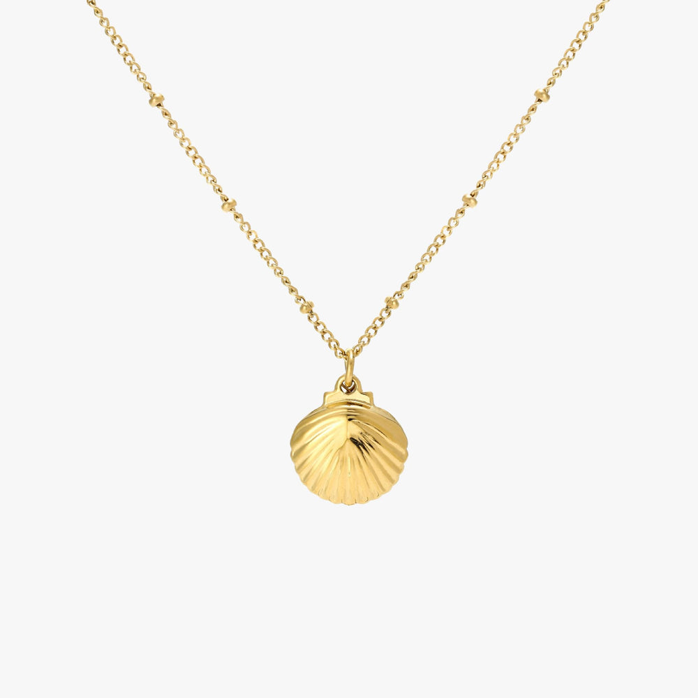 Seashell Ketting