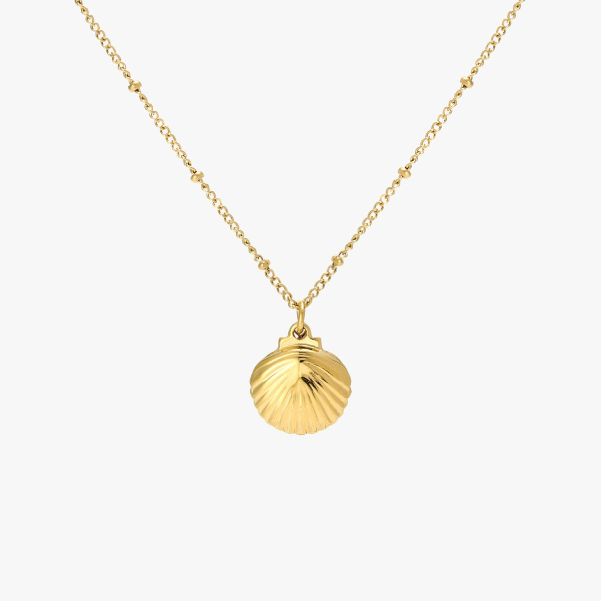 Seashell Ketting