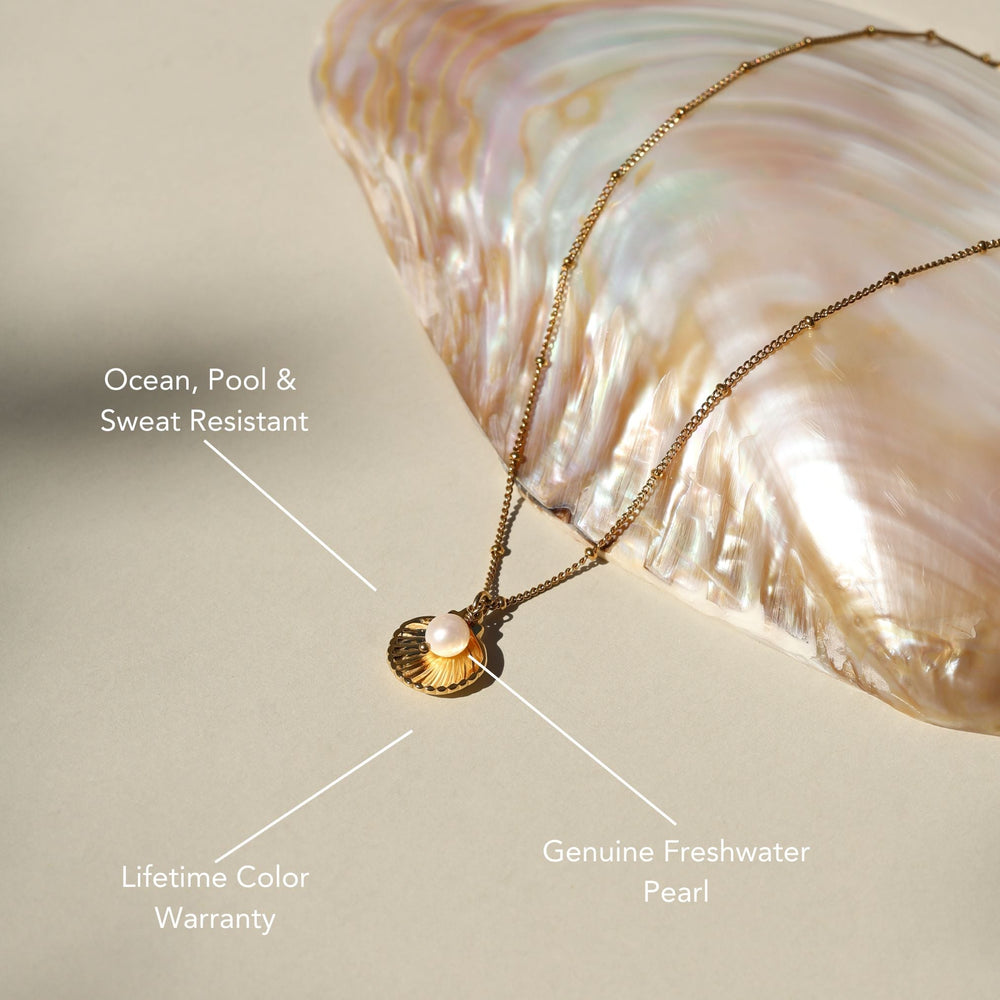 Seashell Ketting