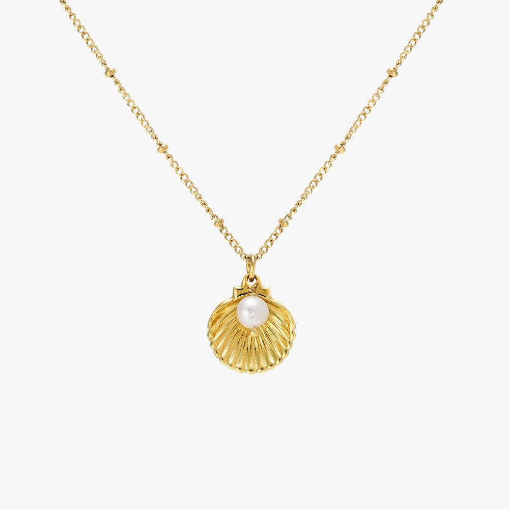 Seashell Ketting