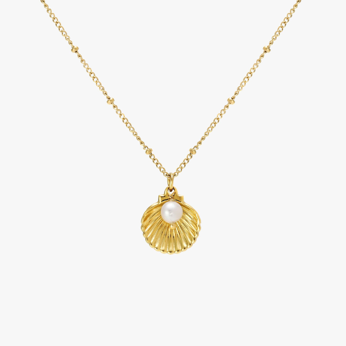 Seashell Ketting
