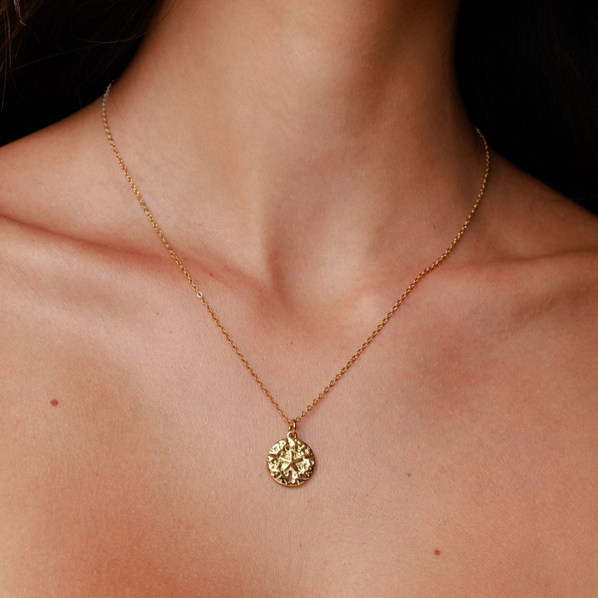Sand Dollar Ketting
