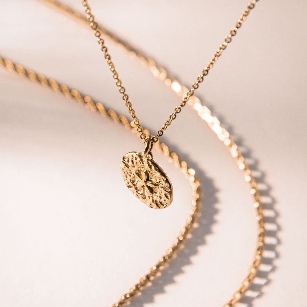 Sand Dollar Ketting