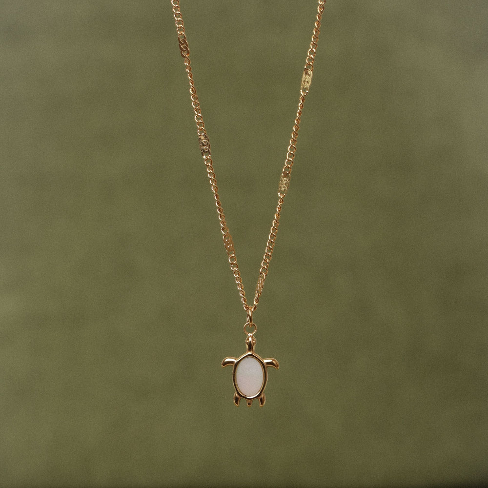 Turtle Guardian Ketting
