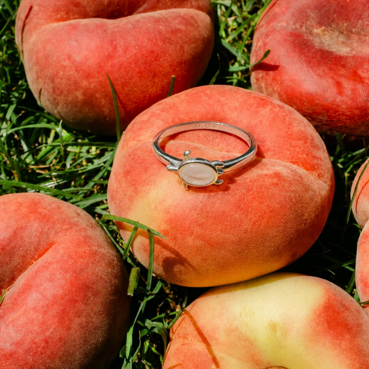 Zeeschildpad Ring