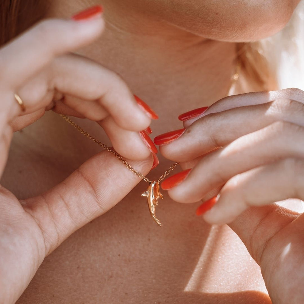 Haaien Ketting