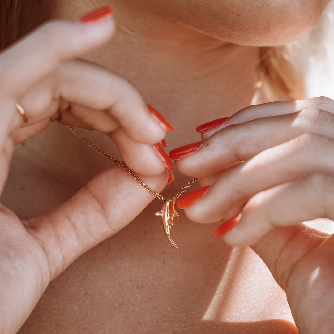 Haaien Ketting