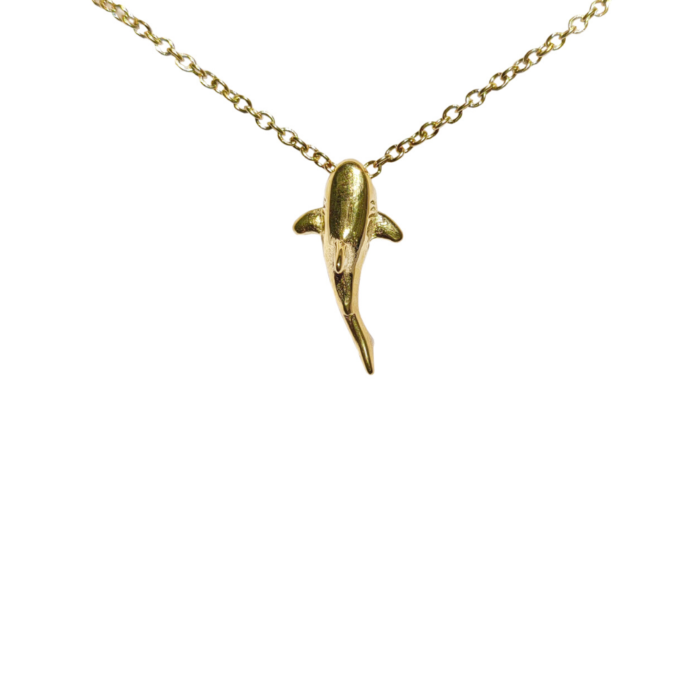 Haaien Ketting
