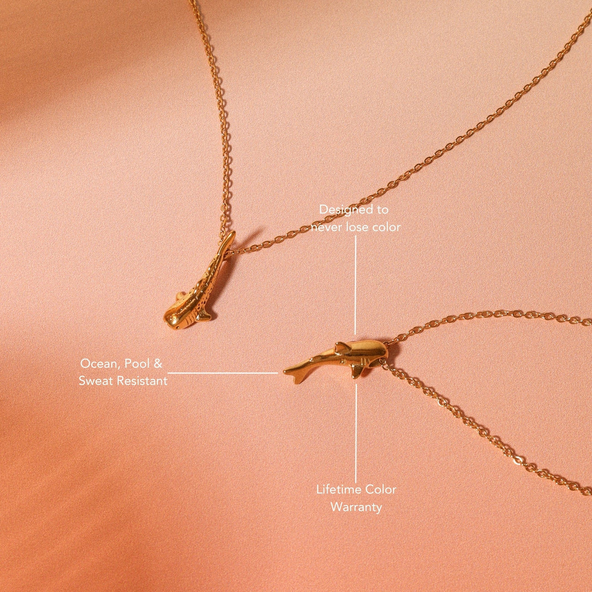 Haaien Ketting