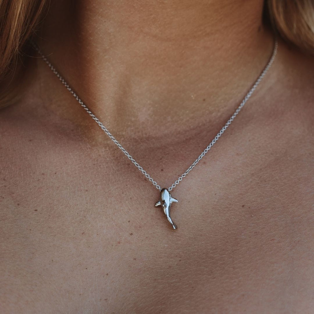 Haaien Ketting