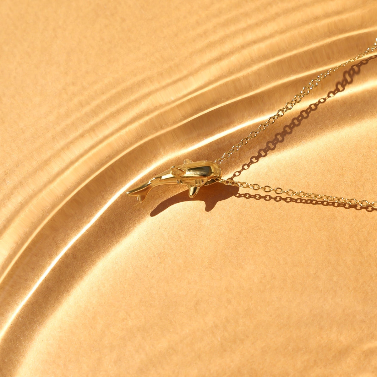 Haaien Ketting