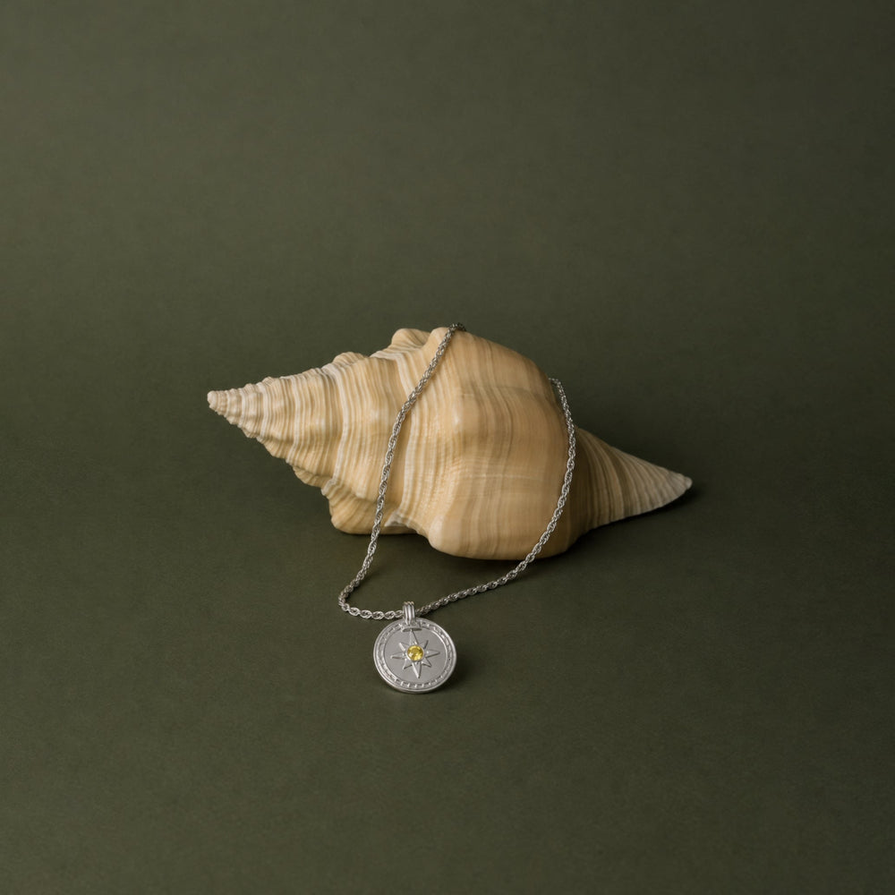 Golden Compass Ketting