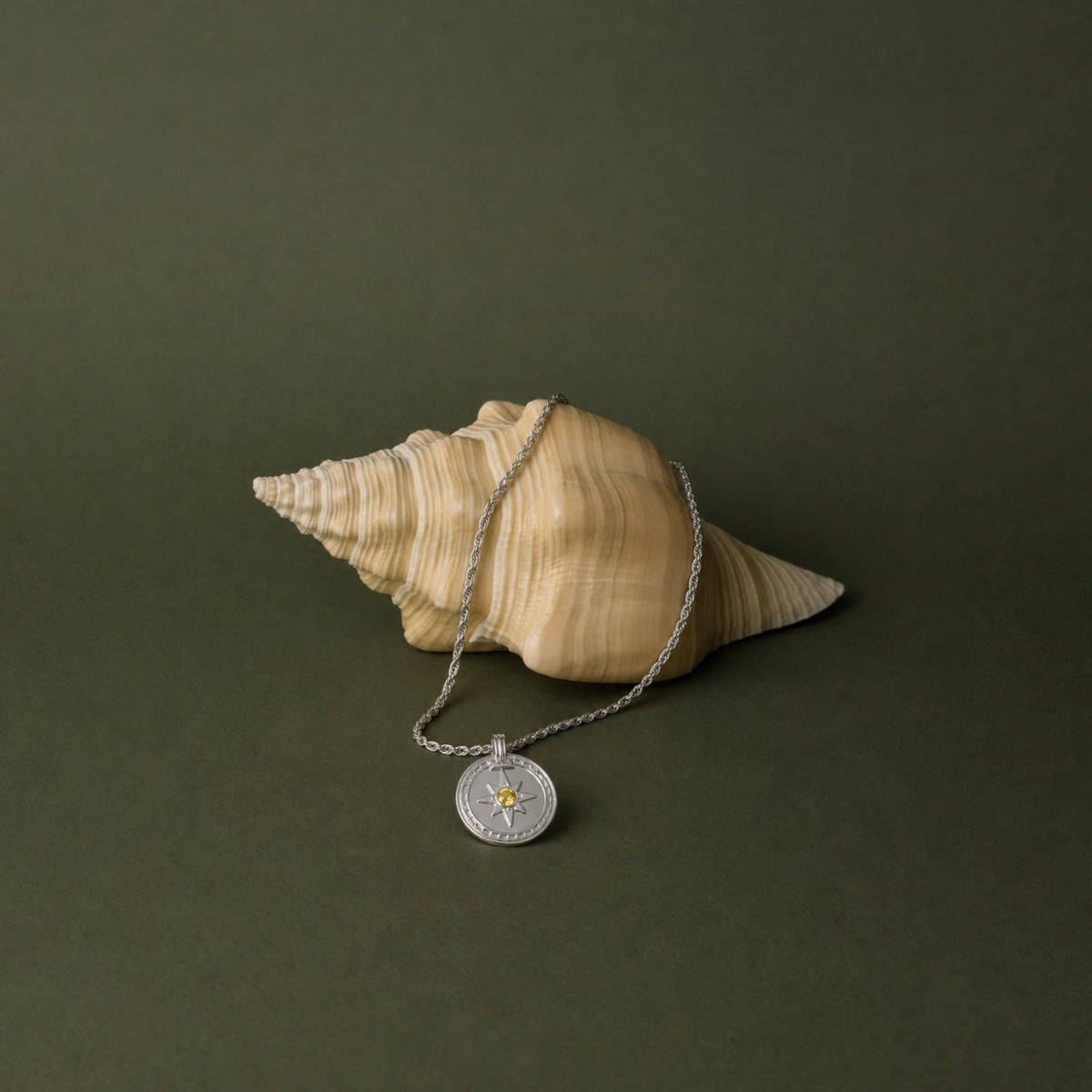 Golden Compass Ketting