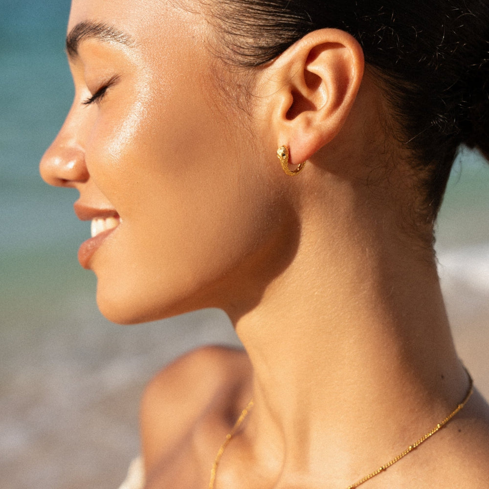 Snake Hoops