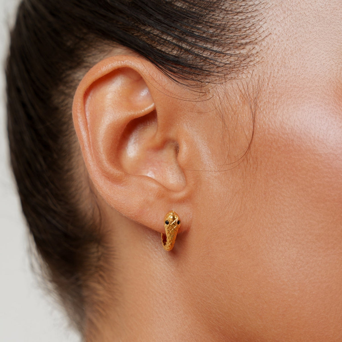 Snake Hoops