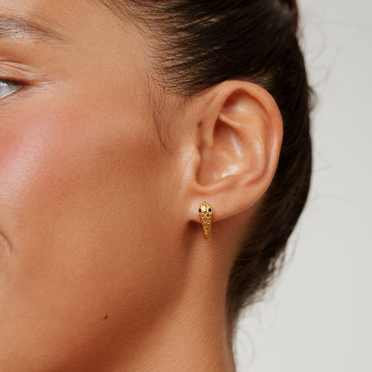 Snake Hoops