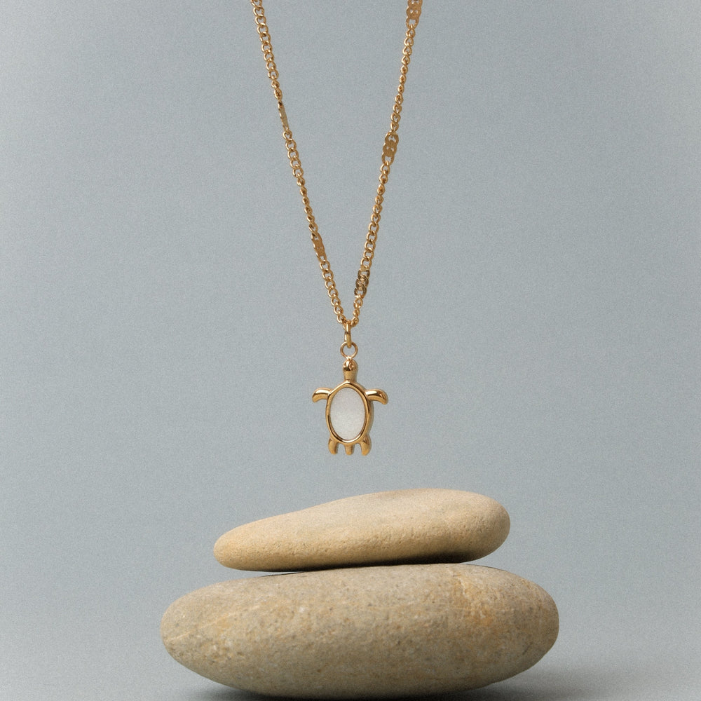 Turtle Guardian Ketting