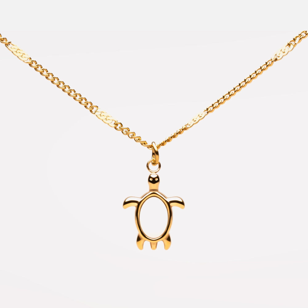 Turtle Guardian Ketting