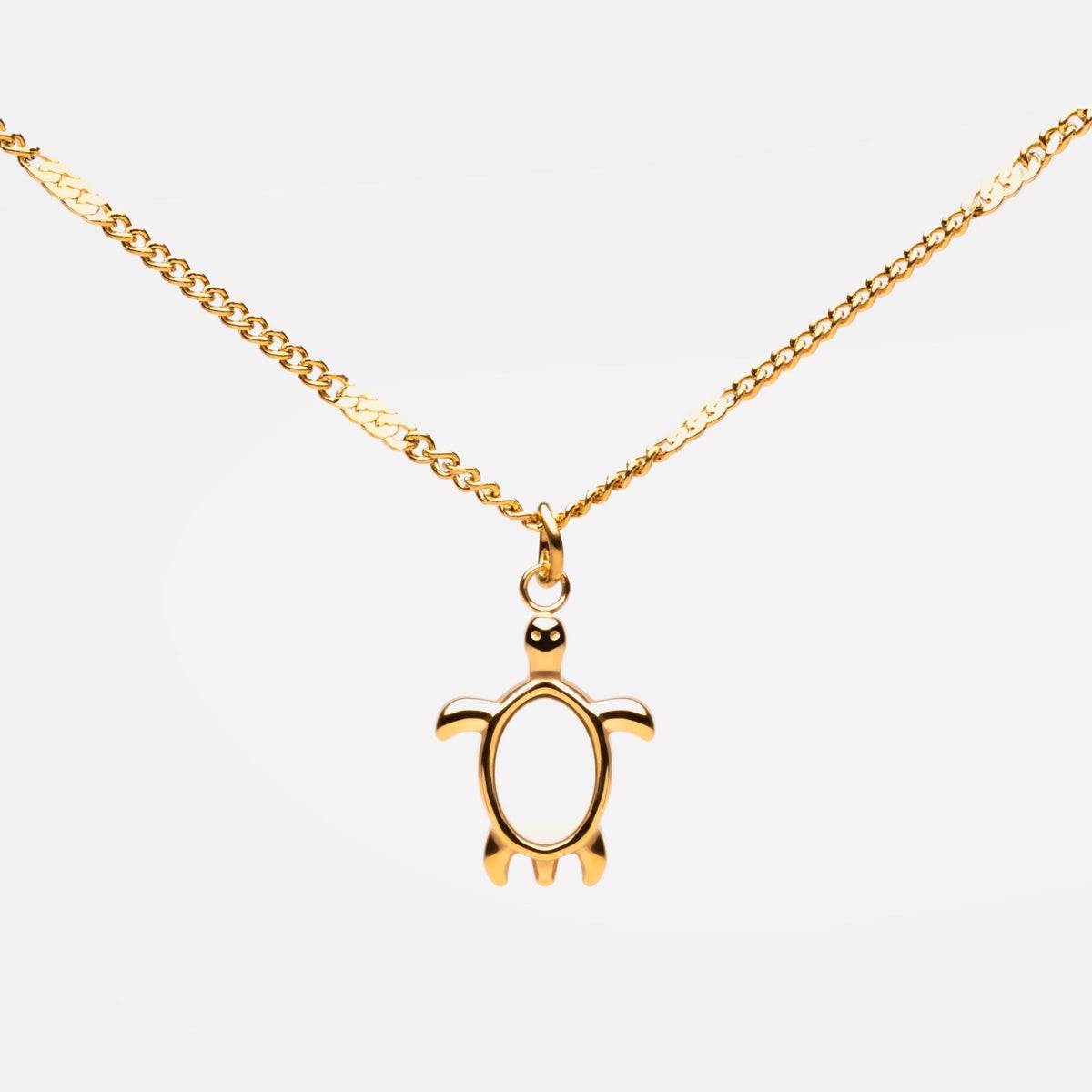 Turtle Guardian Ketting