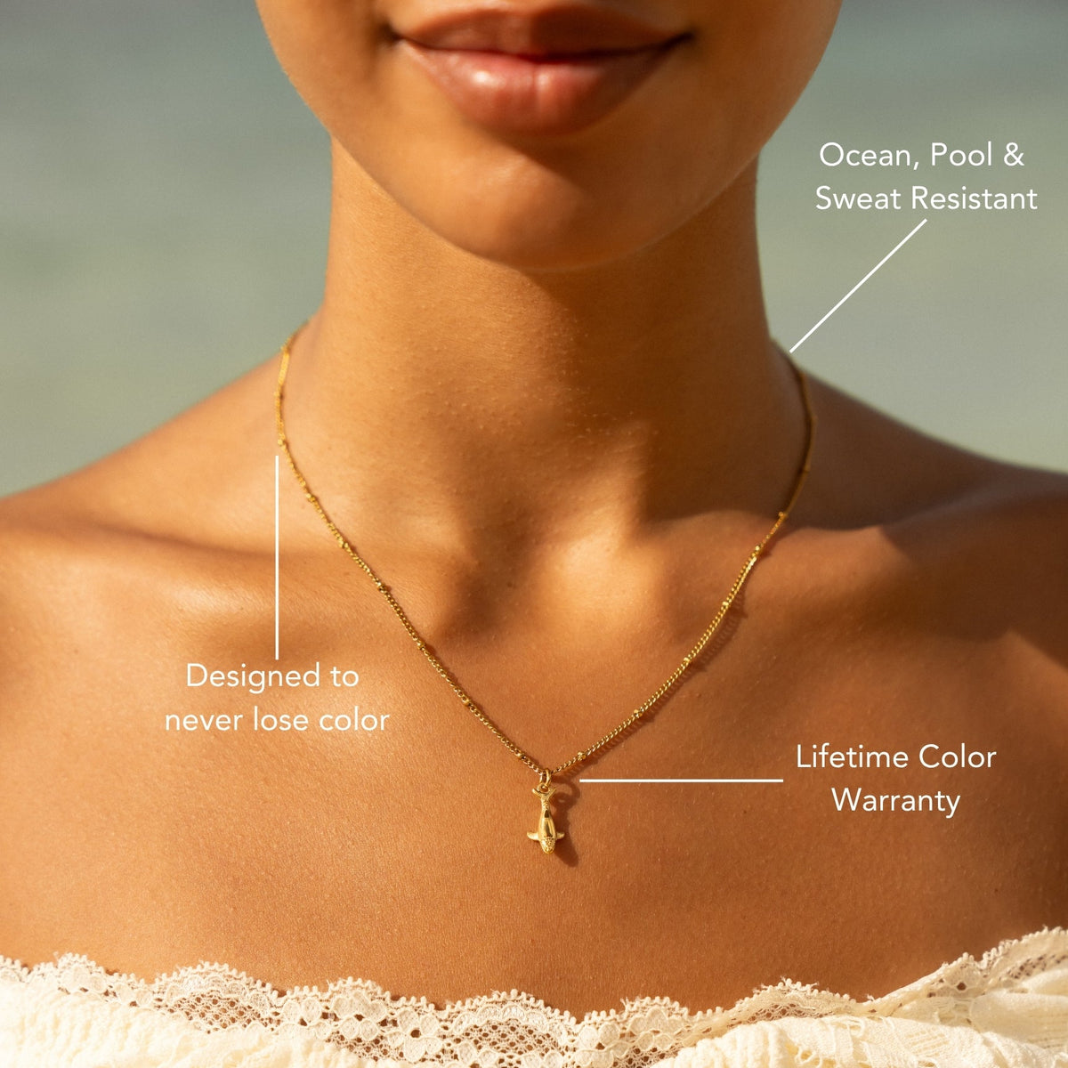 Walvis Ketting