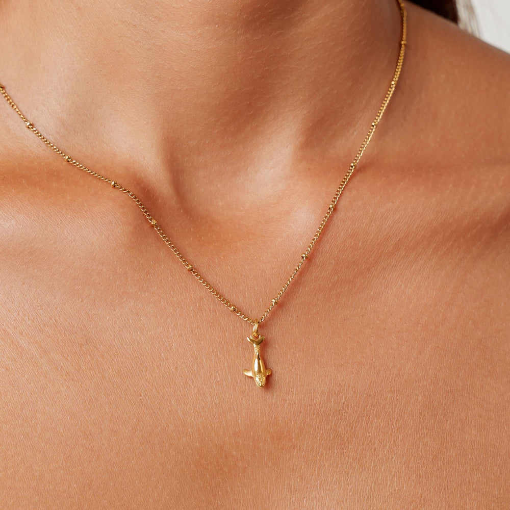 Walvis Ketting