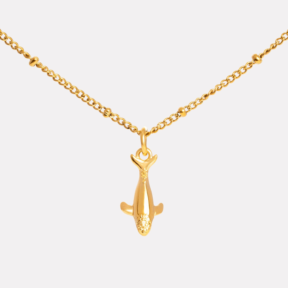 Walvis Ketting