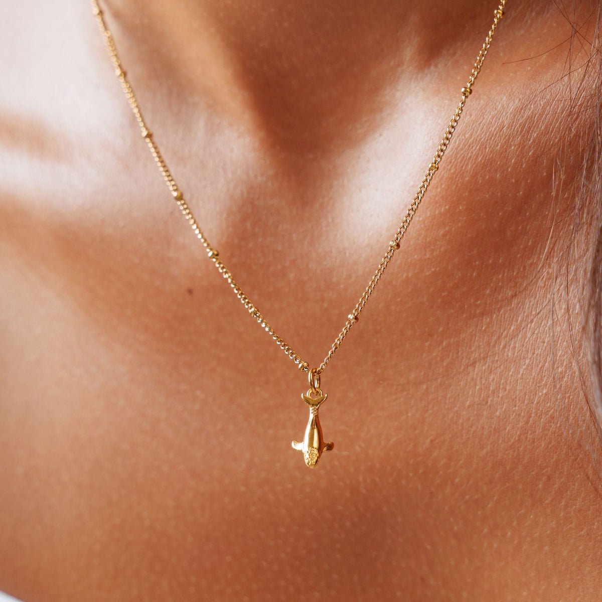 Walvis Ketting