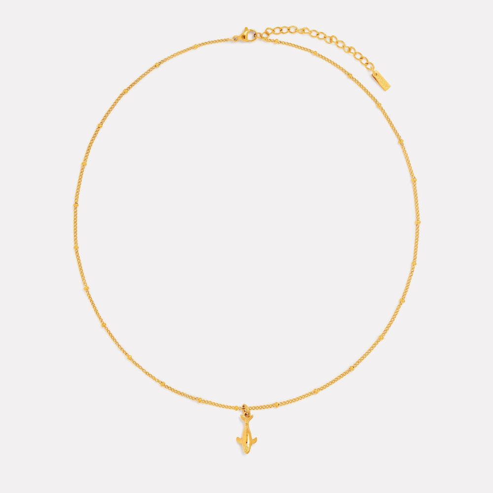 Walvis Ketting