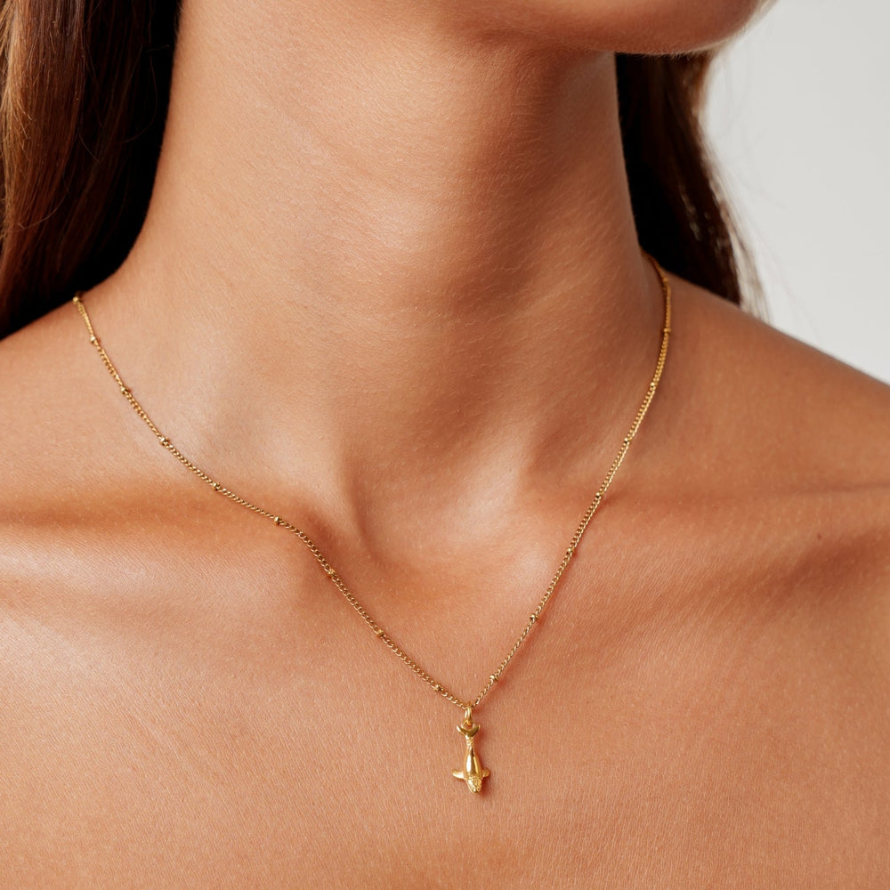 Walvis Ketting