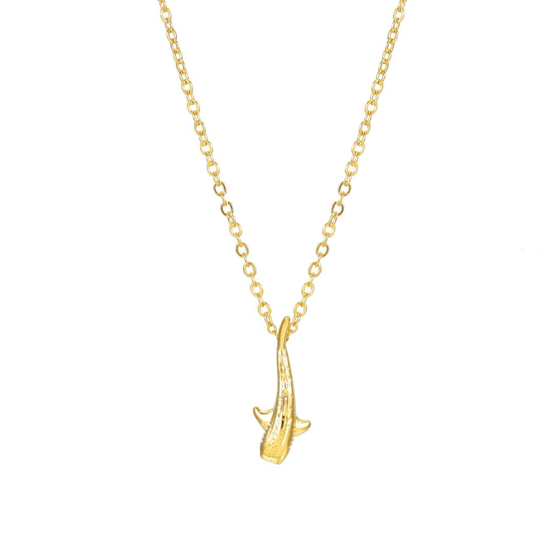 Walvishaai Ketting