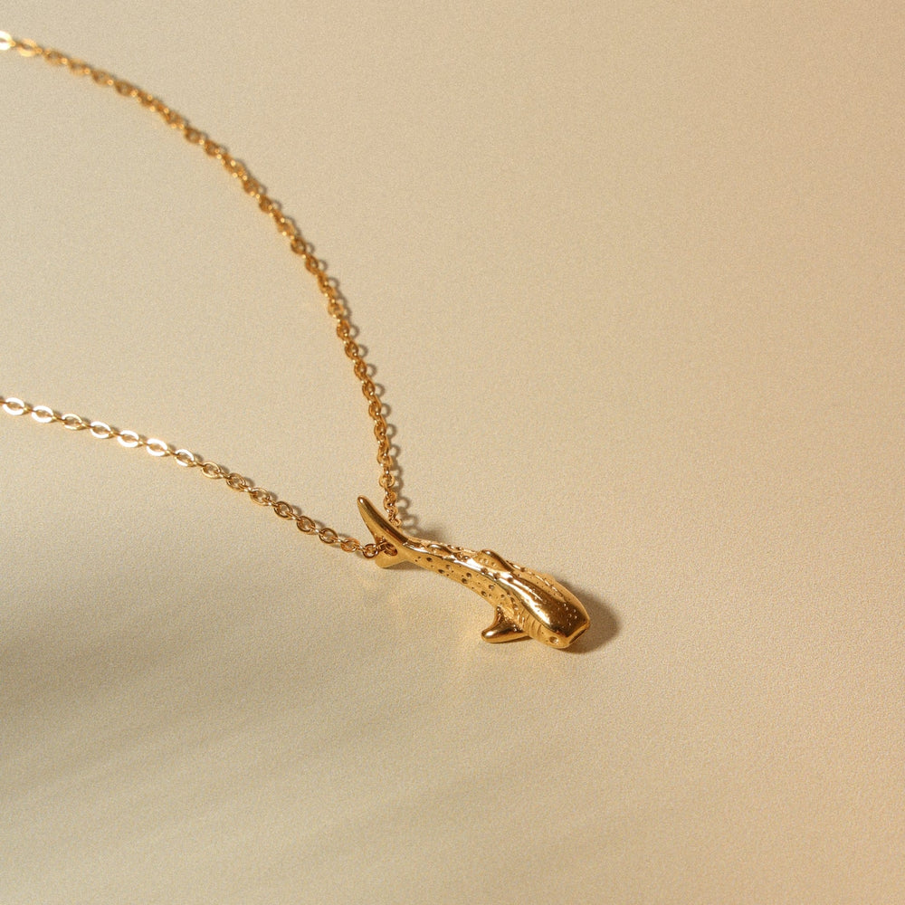 Walvishaai Ketting