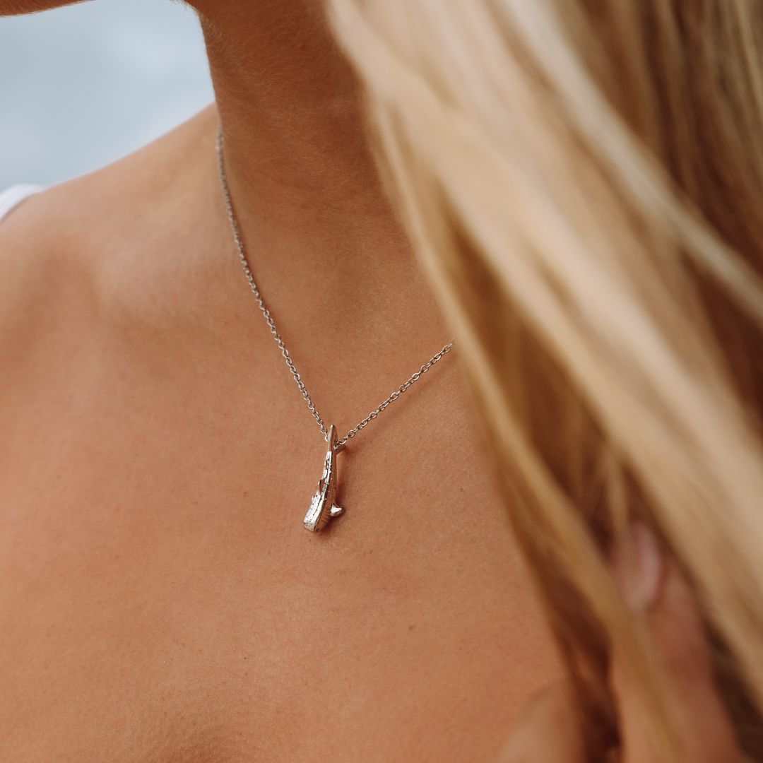 Walvishaai Ketting