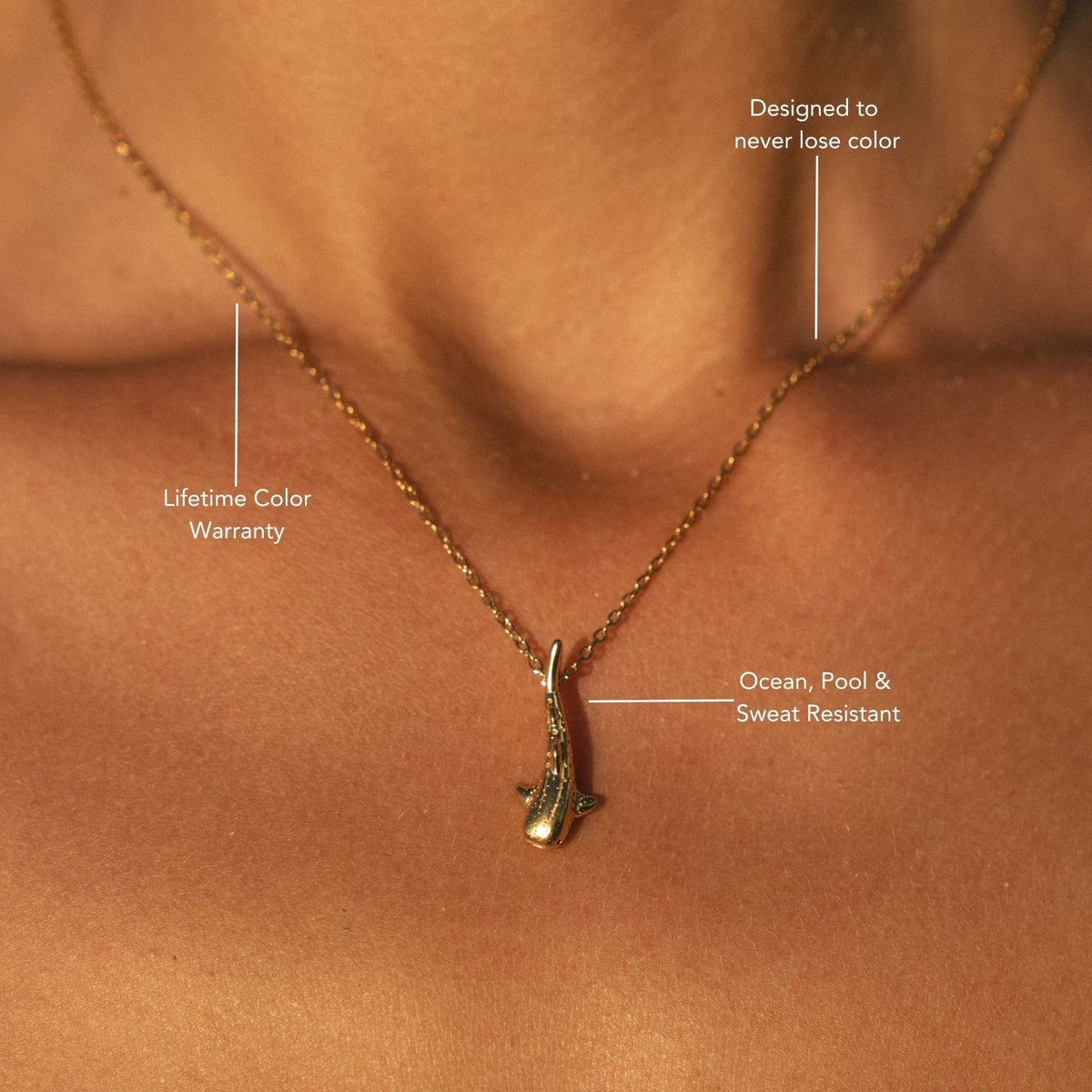Walvishaai Ketting