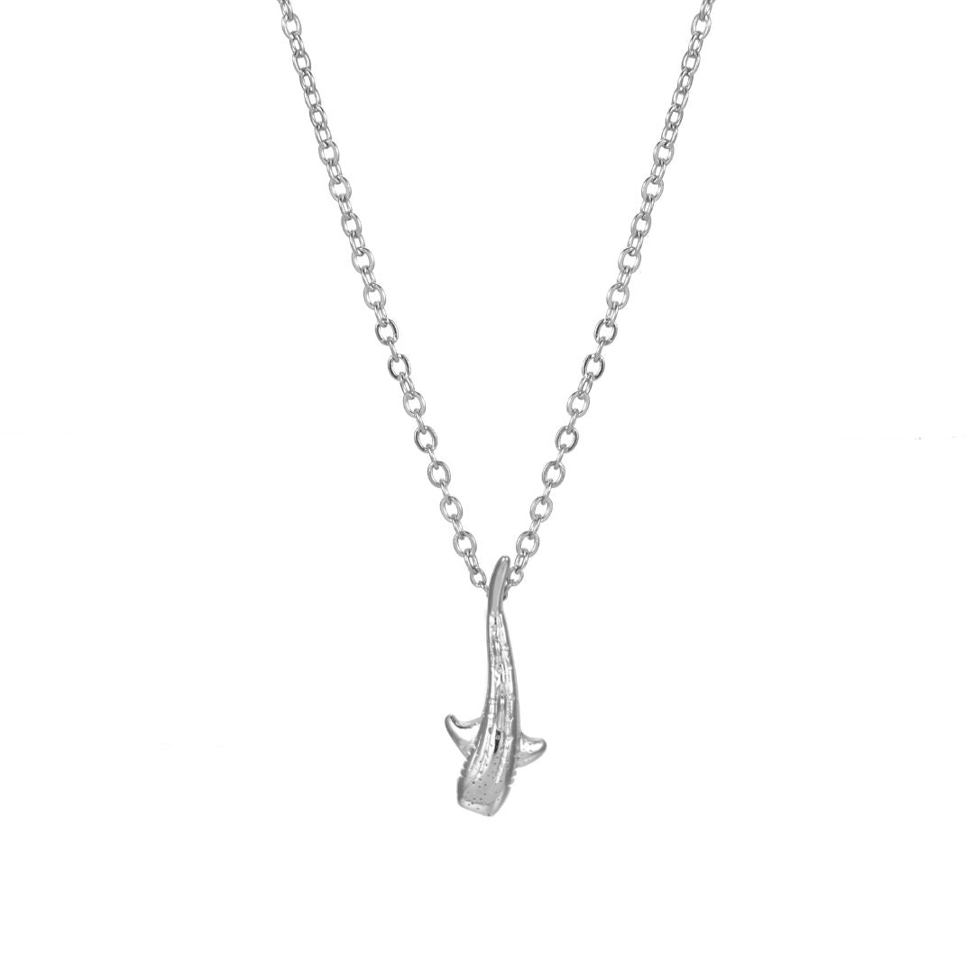 Walvishaai Ketting