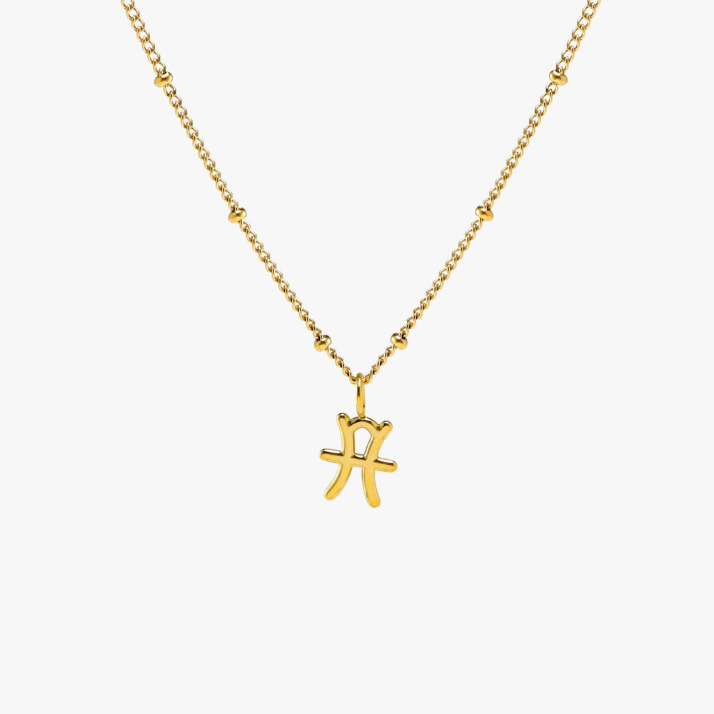 Sterrenbeeld Ketting